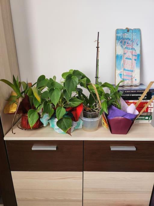 Modern Apartment. Best Location Sofia Bagian luar foto